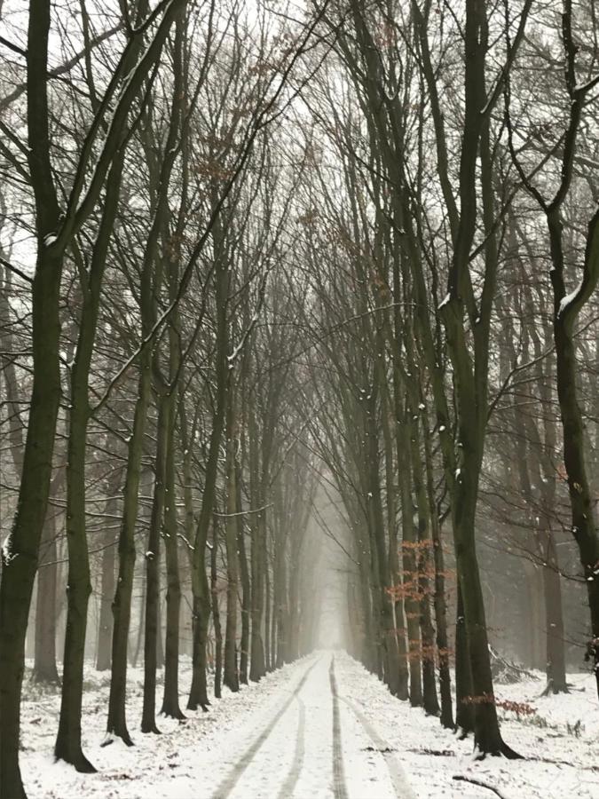 B&B 'Het Gripshuis' Vught Exteriör bild